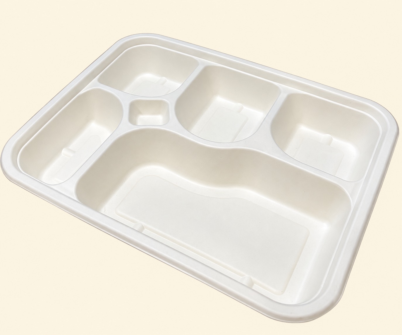 Sugarcane Bagasse