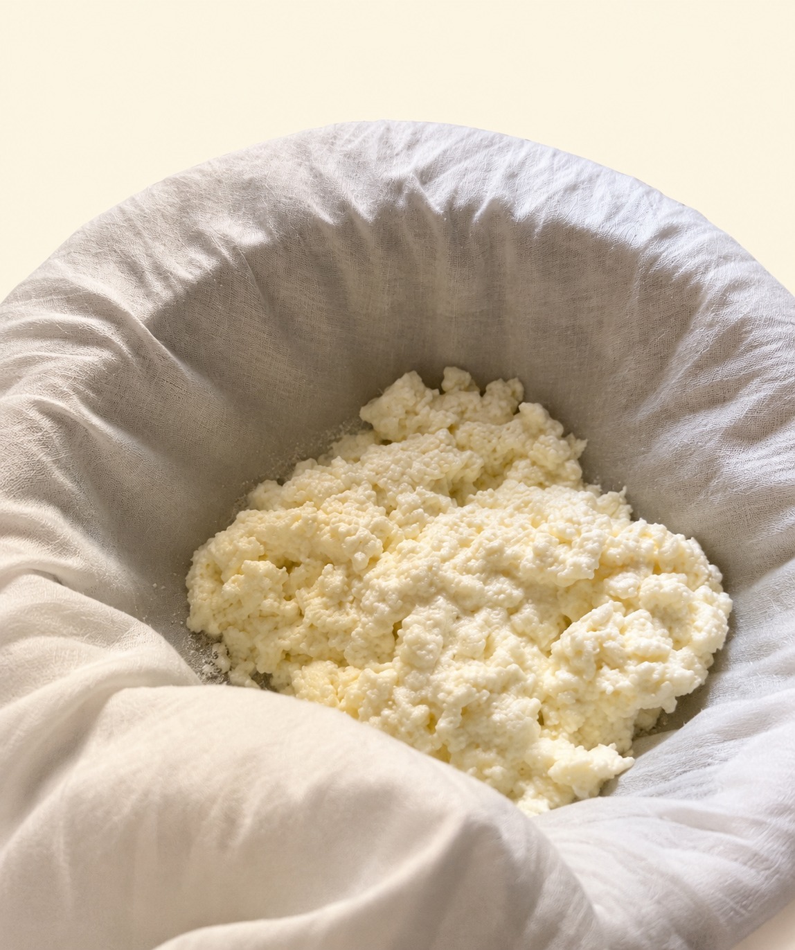 Homemade Paneer