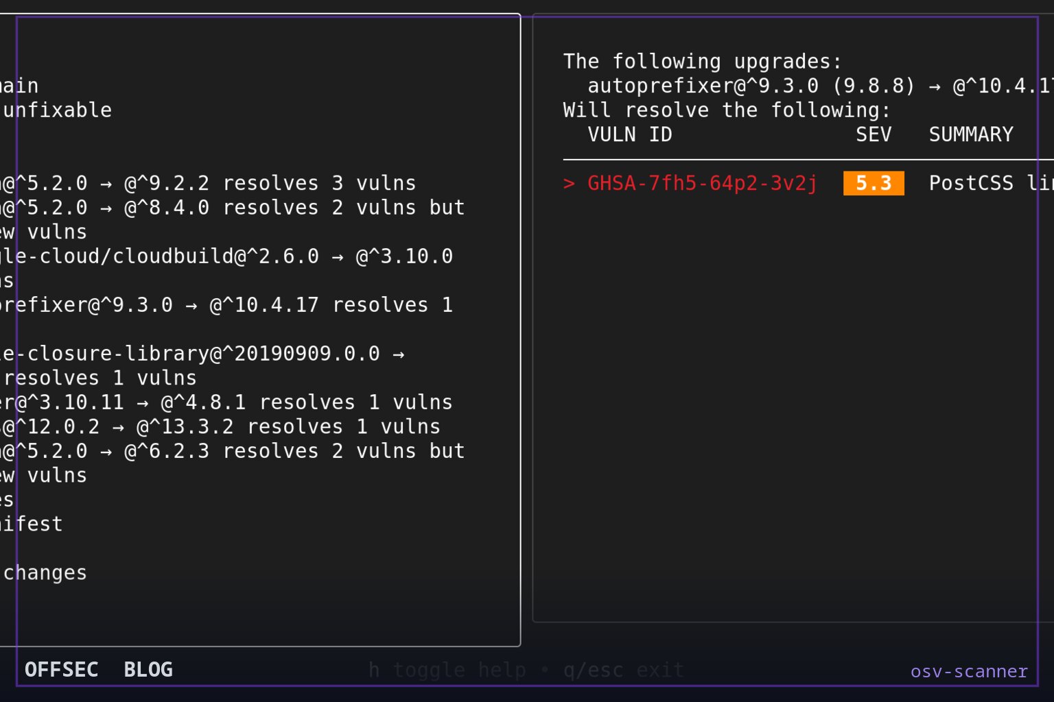 osv-scanner for dependency and container vulnerability auditing