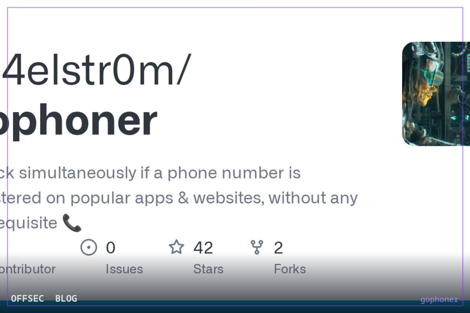 Inside gophoner: parallel phone-number footprint checks across popular services
