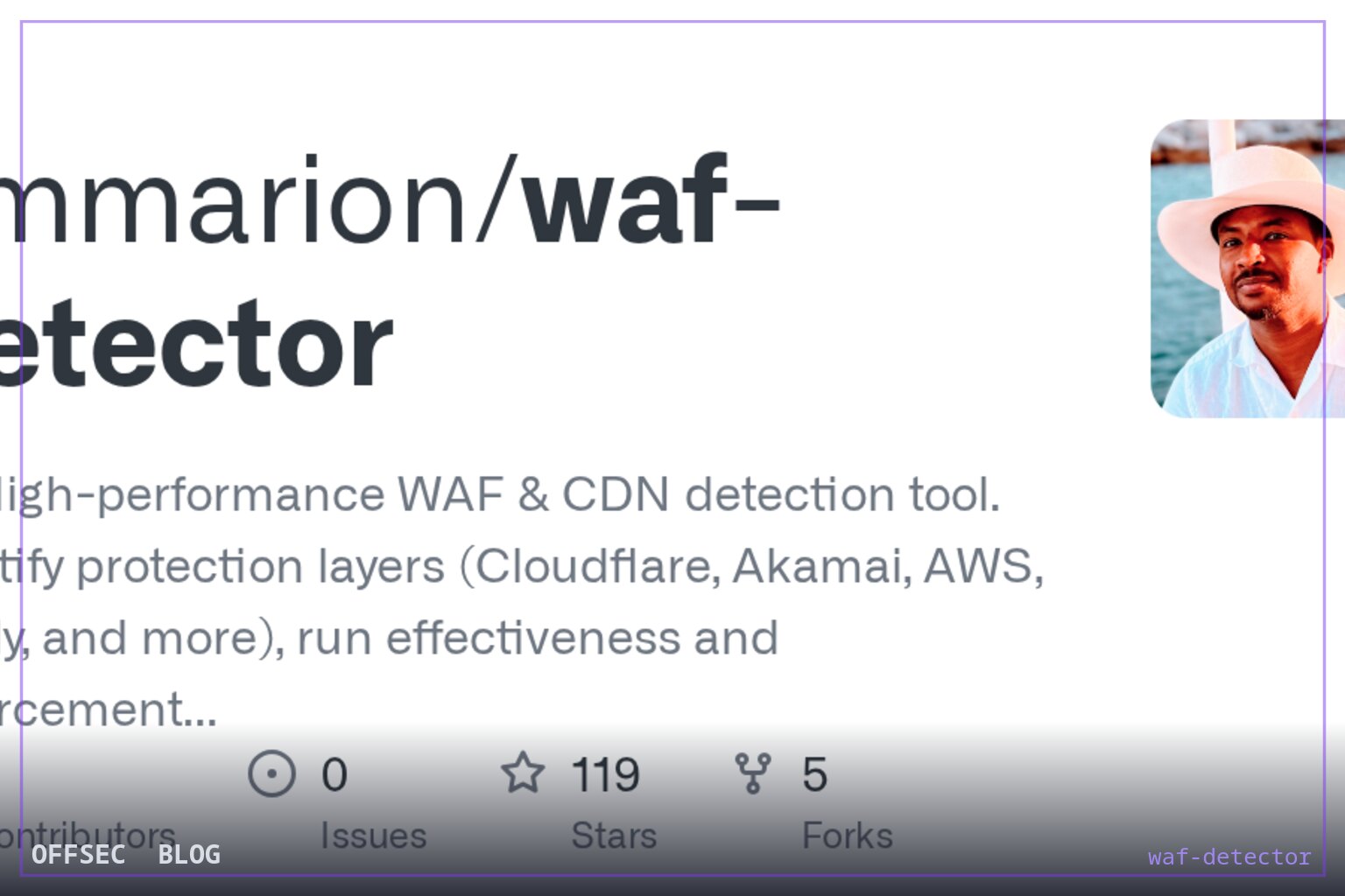 waf-detector for fingerprinting and grading WAF and CDN protection layers