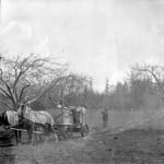 Thumbnail of Spraying Mrs. Waldrip’s Orchard