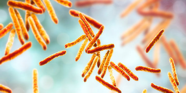 Visualisasi Myccobacterium Tuberculosis