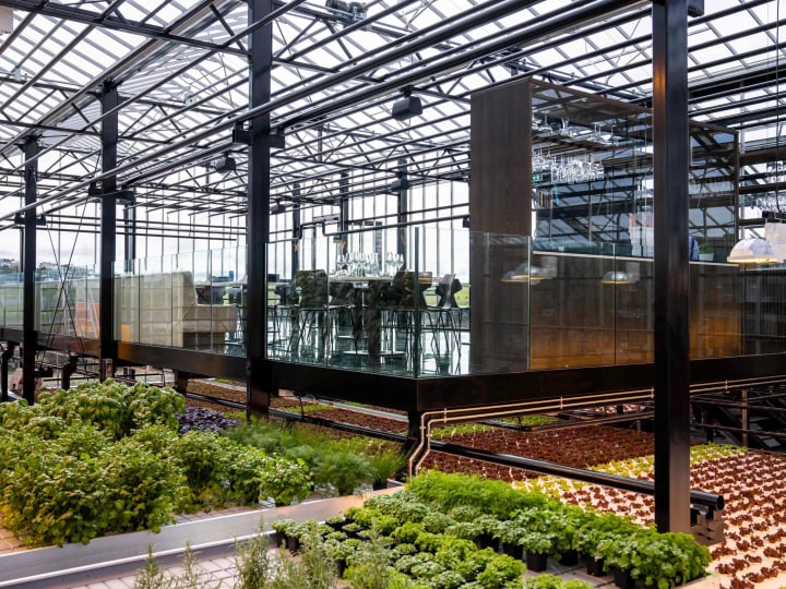 Sól Restaurant inside a working greenhouse in Hafnarfjörður, Iceland