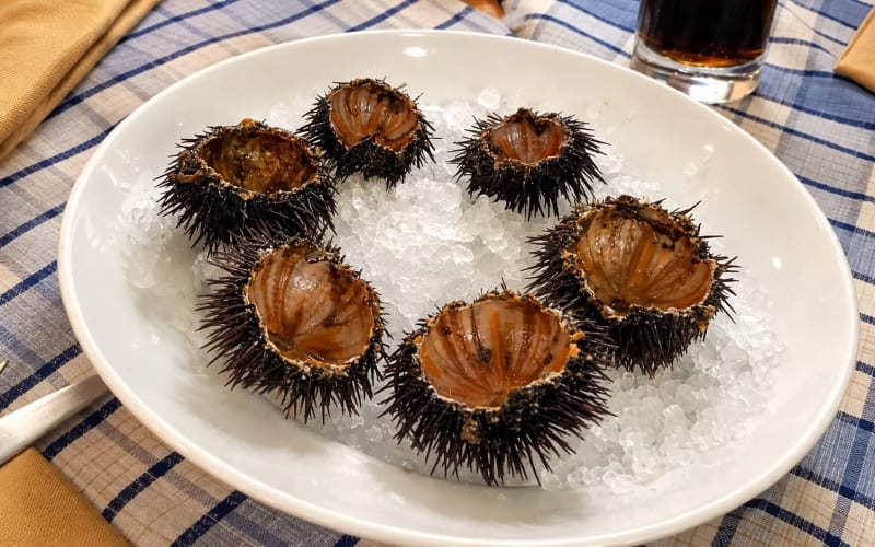 Opened sea urchins showing the edible orange sections inside the shell