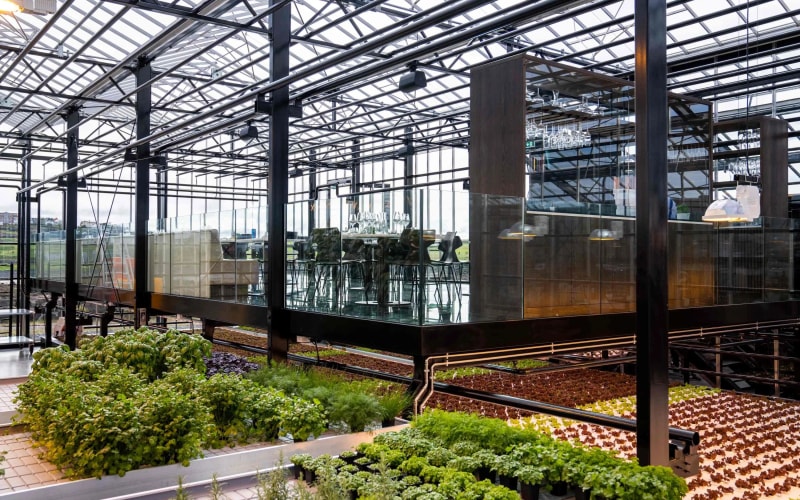 Sól Restaurant inside a working greenhouse in Hafnarfjörður, Iceland