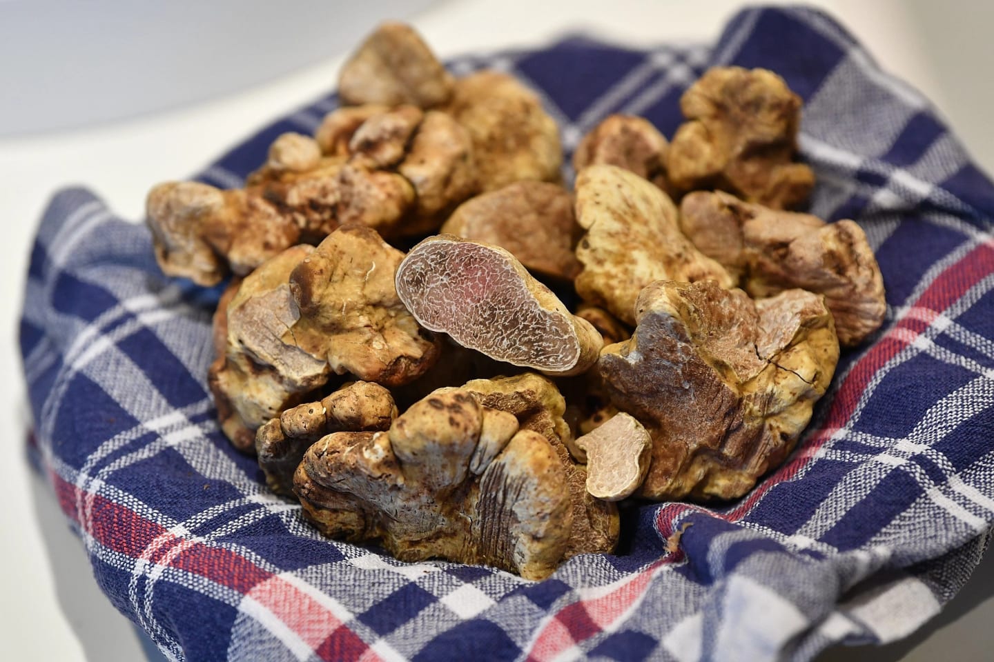 Fresh Alba White Truffles on display at the International Alba White Truffle Fair. Photo: Giorgio Perottino – Getty Images Fresh Alba White Truffles on display at the International Alba White Truffle Fair