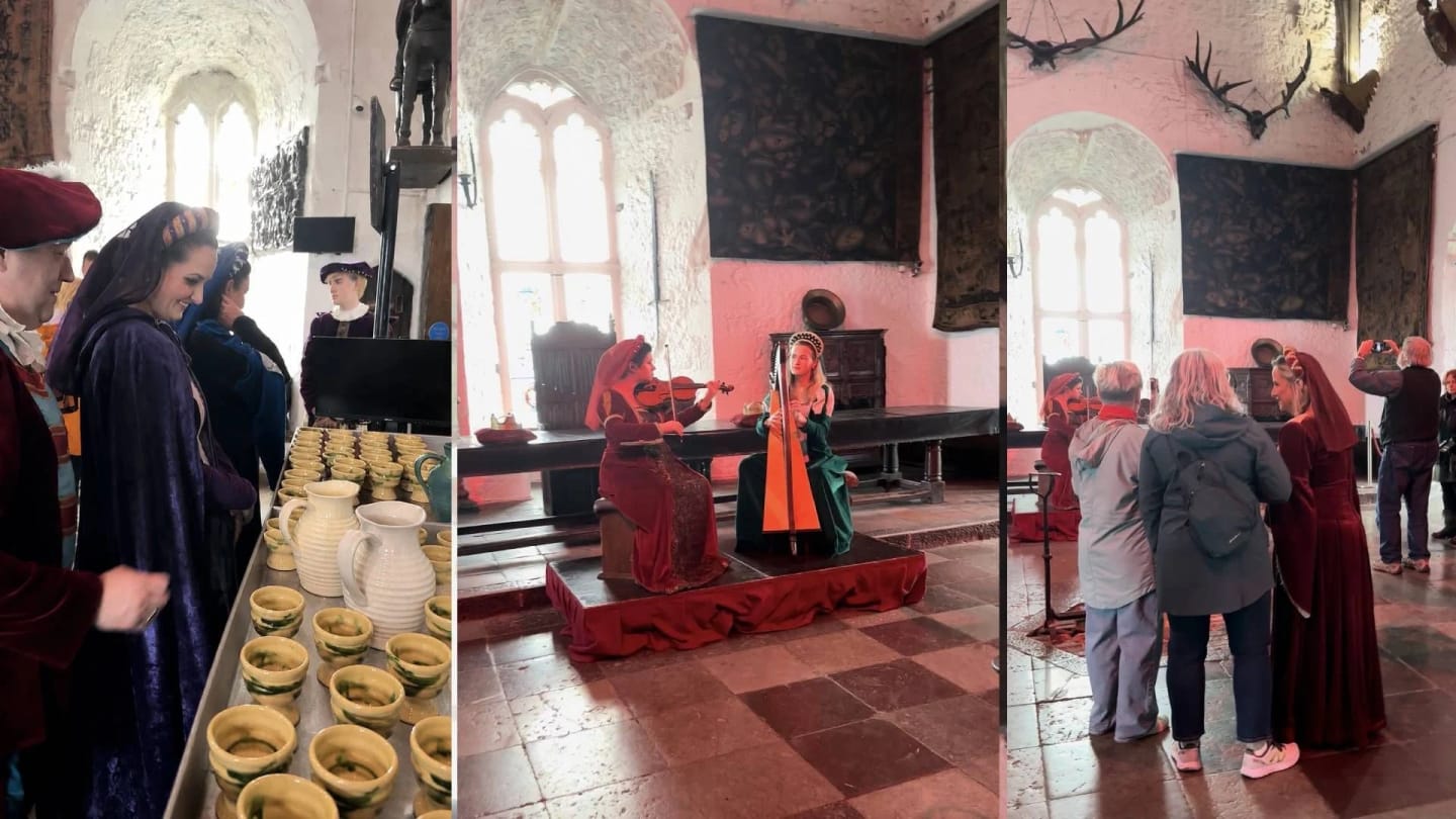 The evening begins in the Great Hall with music, a welcome from the costumed hosts and traditional Bunratty mead. 