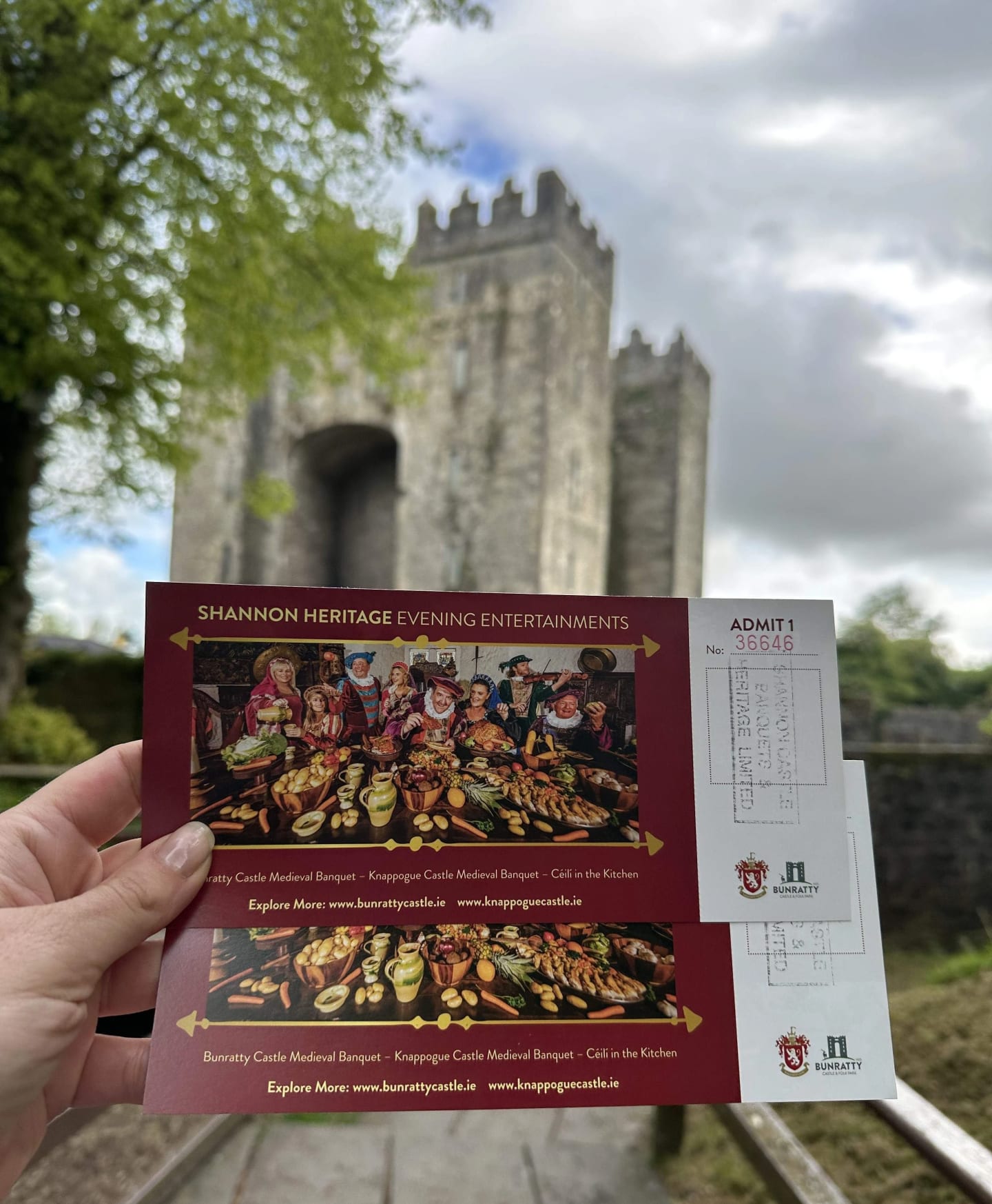 Bunratty Medieval Banquet, tickets. Photo: Dineest