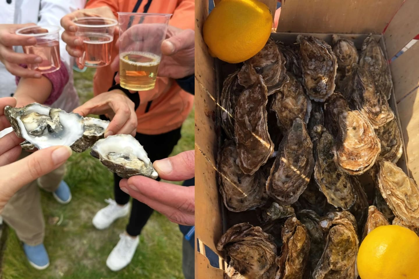 Enjoying fresh Irish oysters