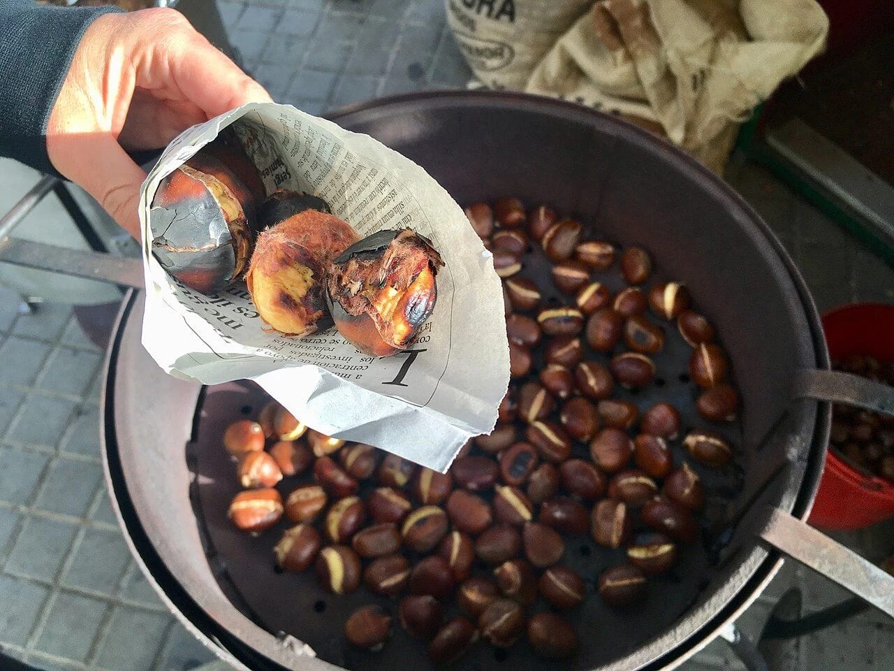 Roasted chestnuts at a street stall in Barcelona