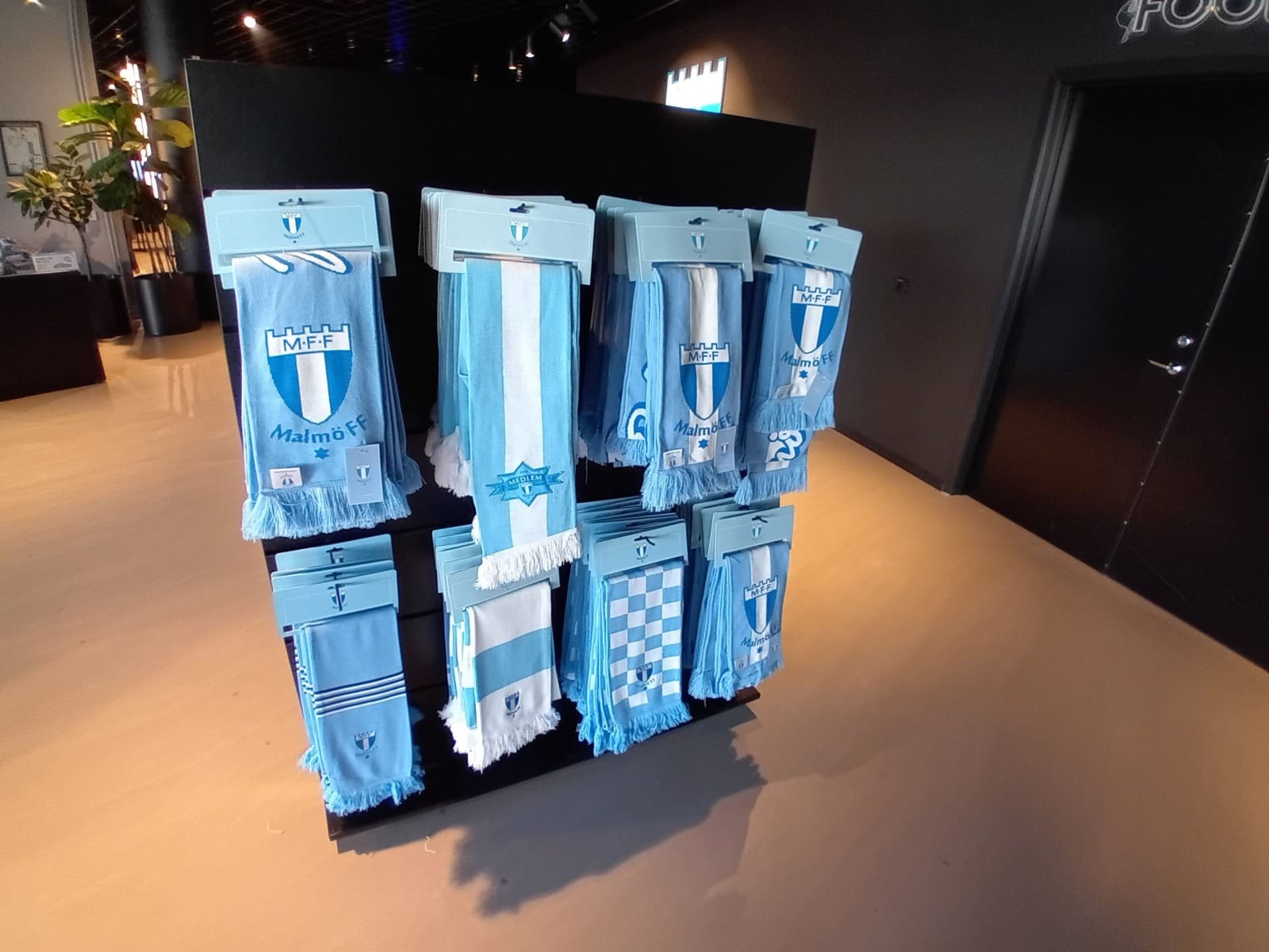 Malmö Stadium Visit