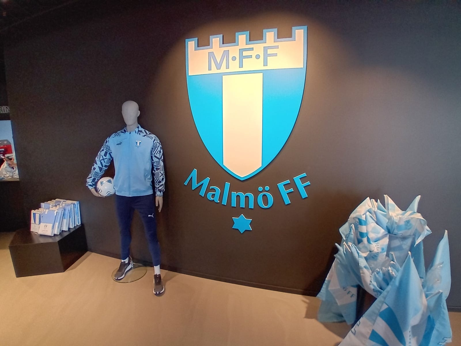 Malmö Stadium Visit