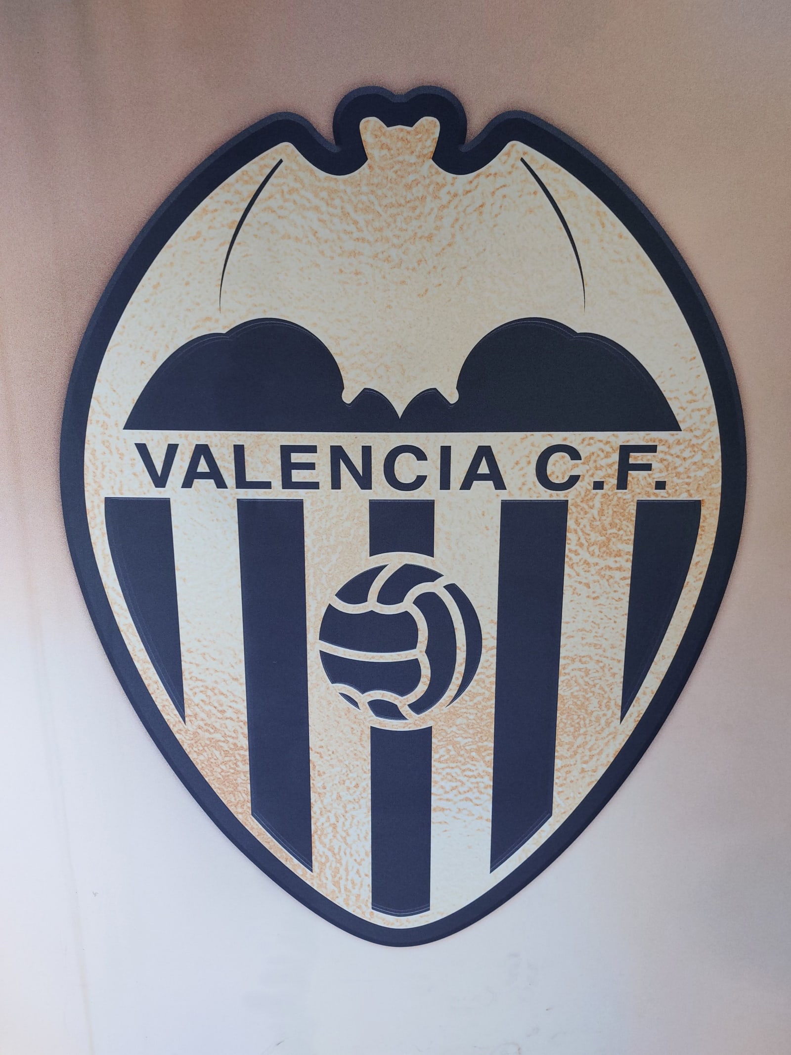Mestalla Stadium Tour