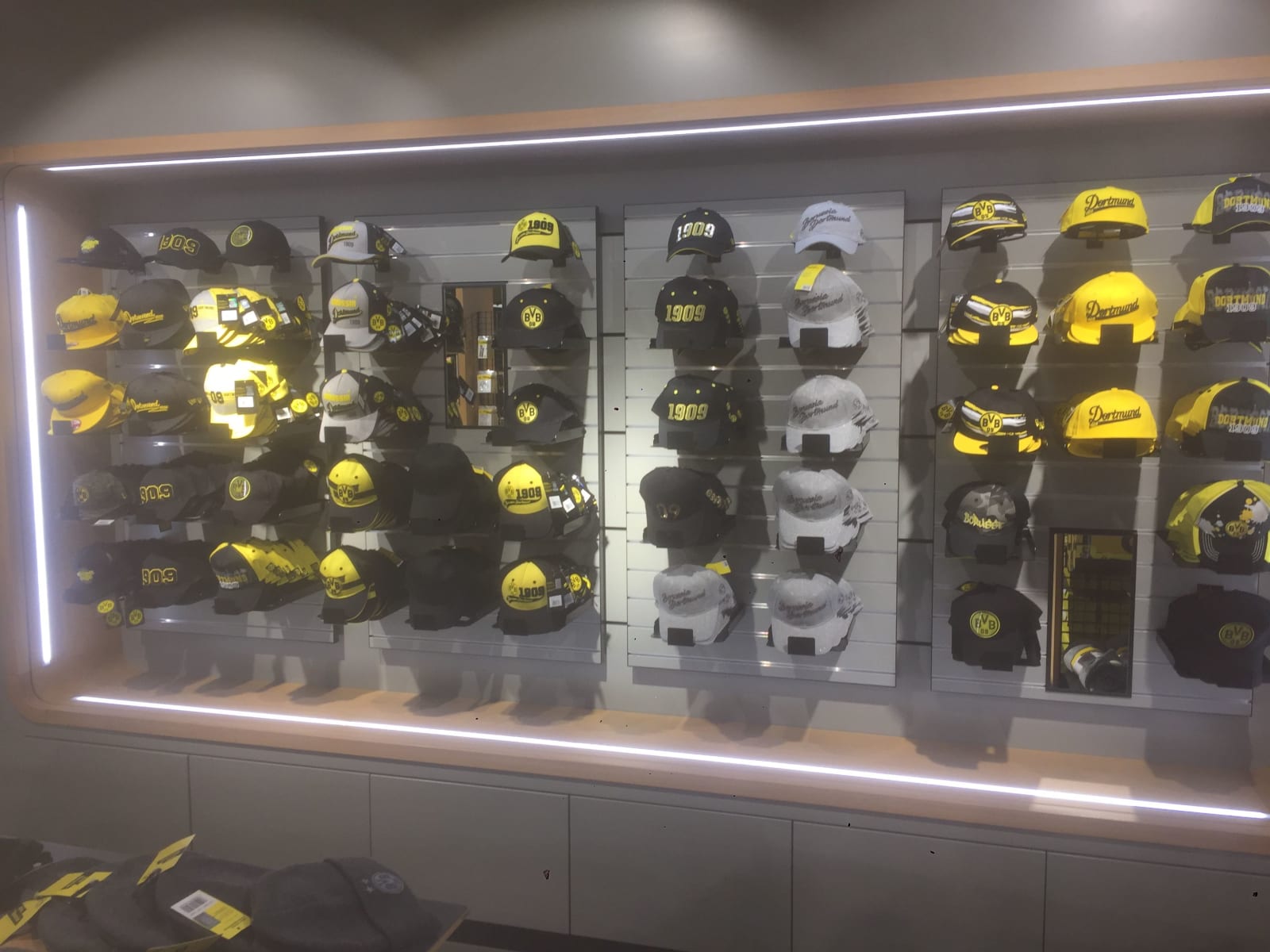 Borussia Dortmund Stadium Tour