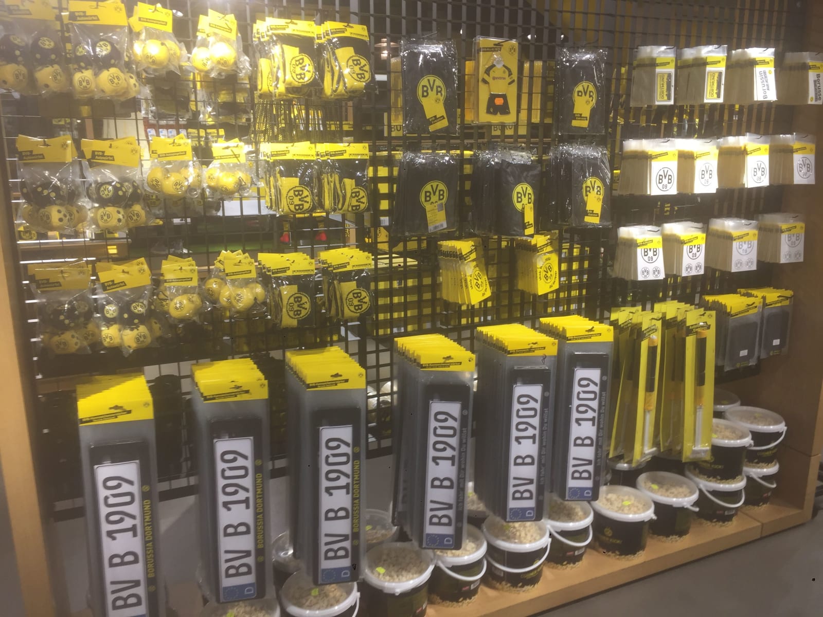 Borussia Dortmund Stadium Tour