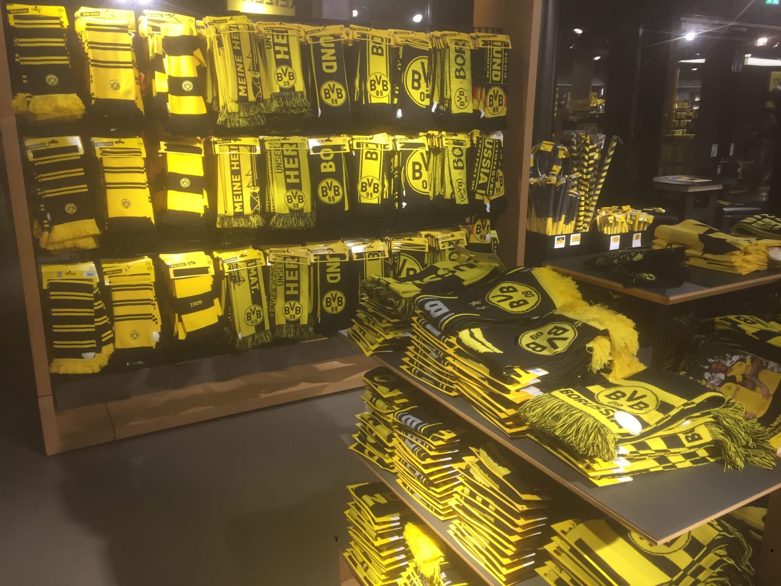 Borussia Dortmund Stadium Tour