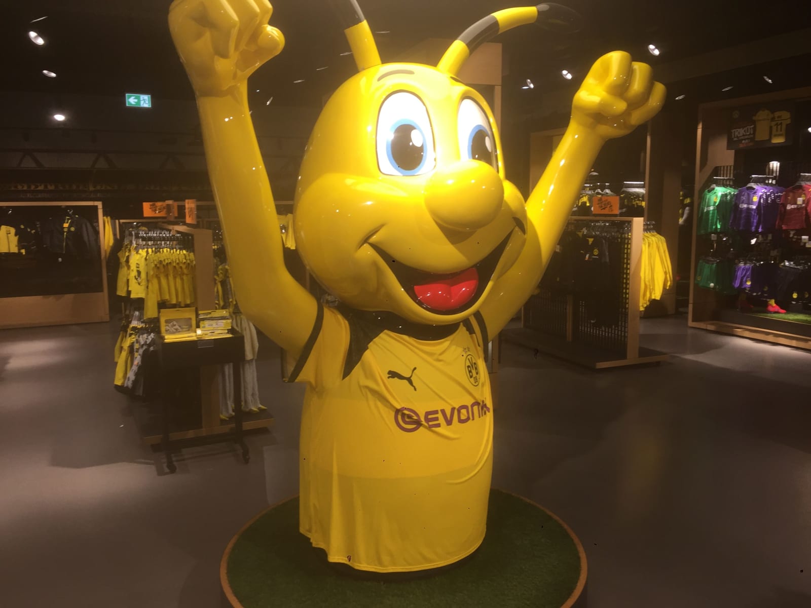 Borussia Dortmund Stadium Tour