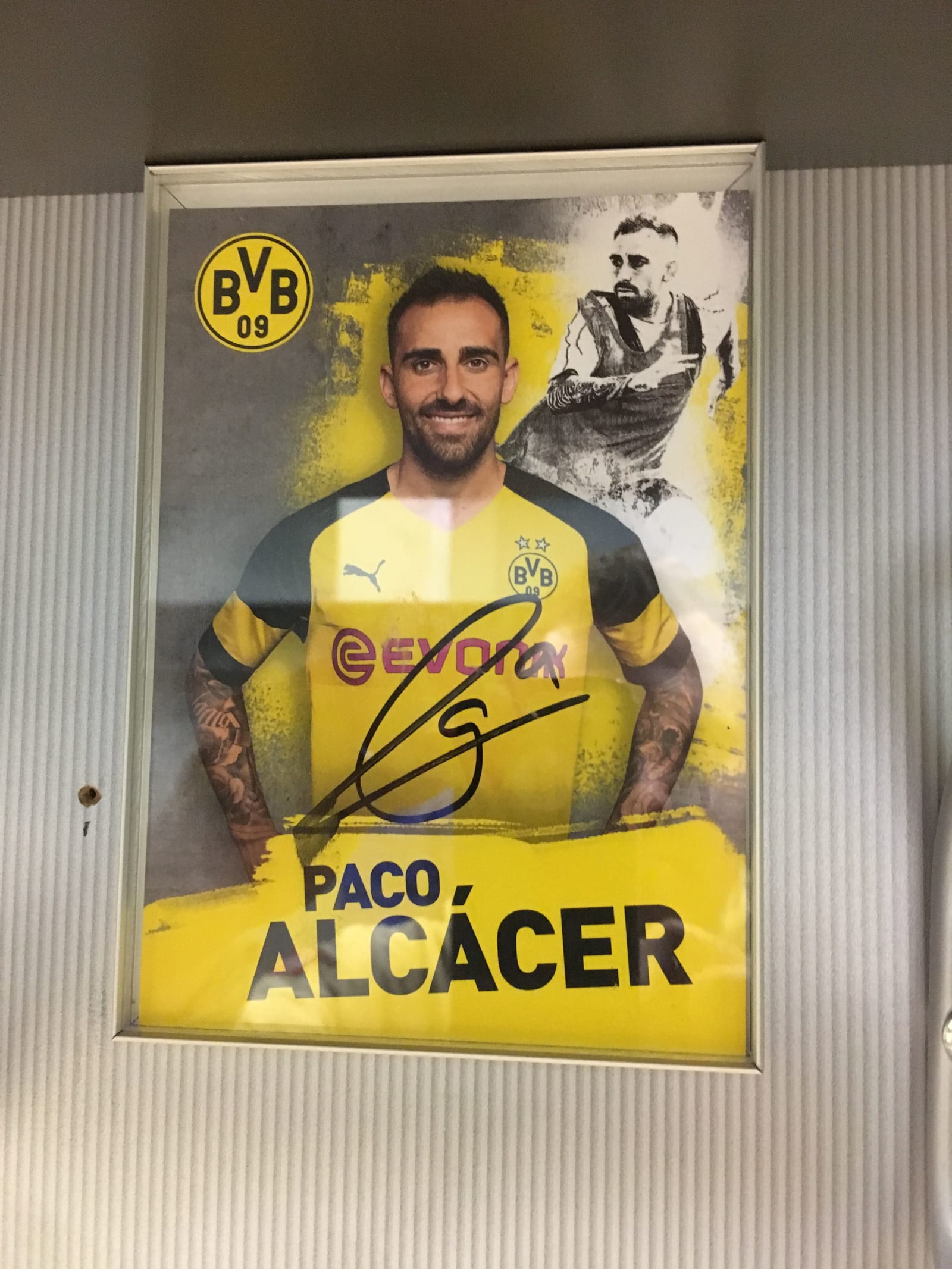 Borussia Dortmund Stadium Tour