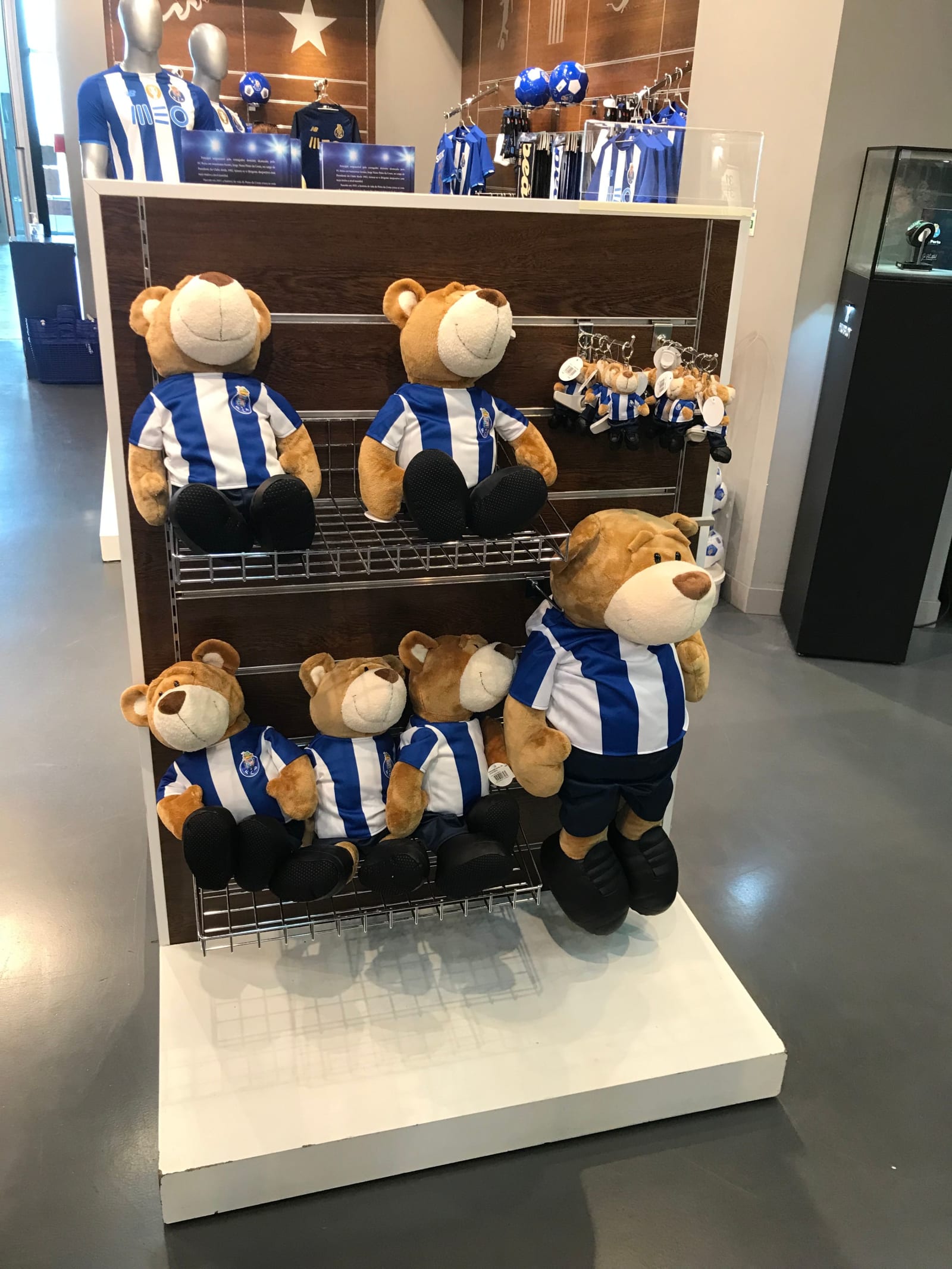 FC Porto Stadium Tour