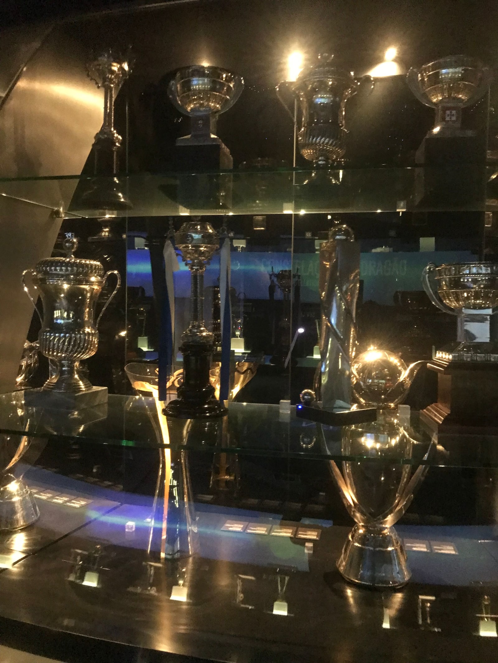 FC Porto Stadium Tour