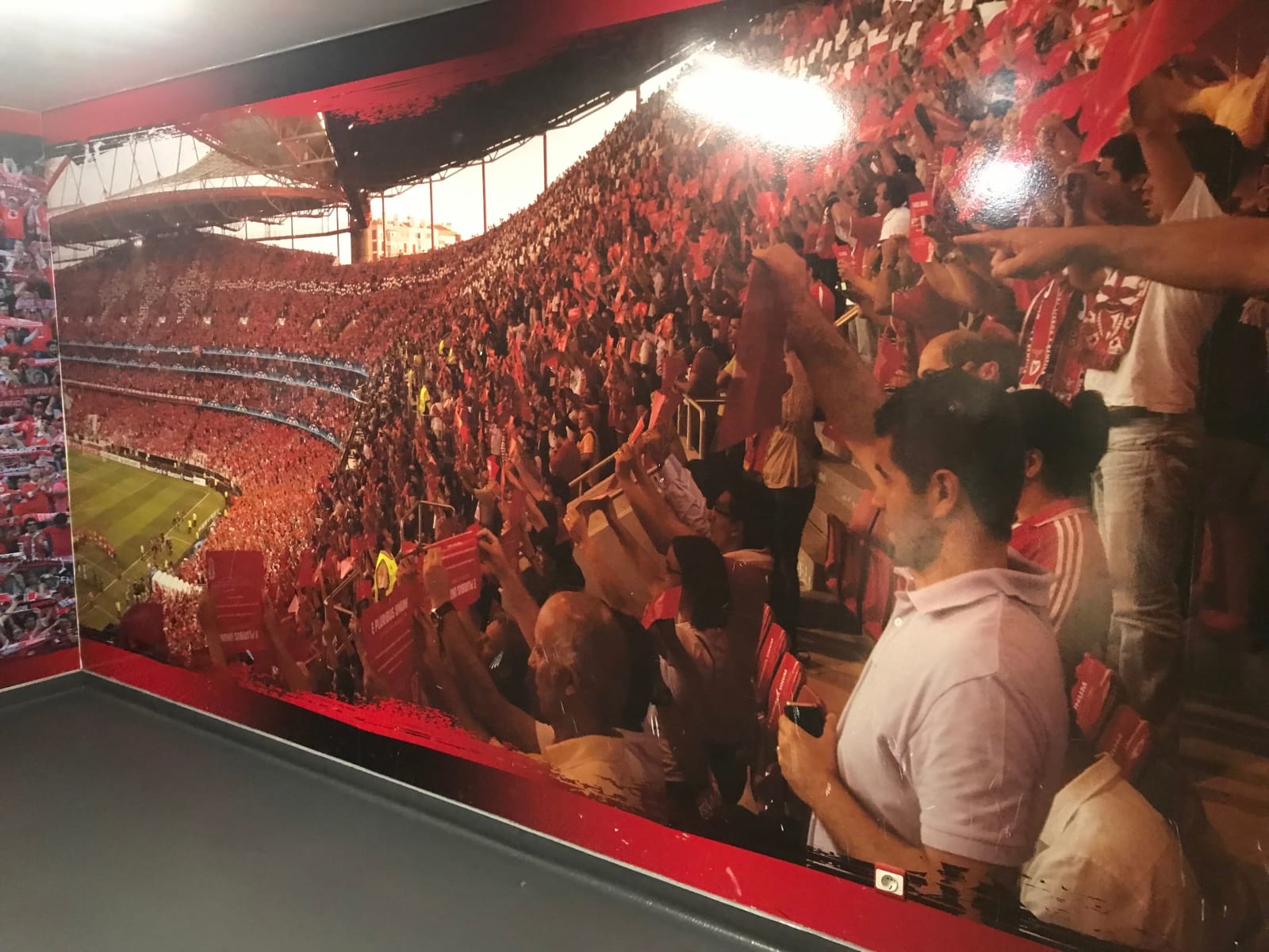 Benfica Stadium Tour
