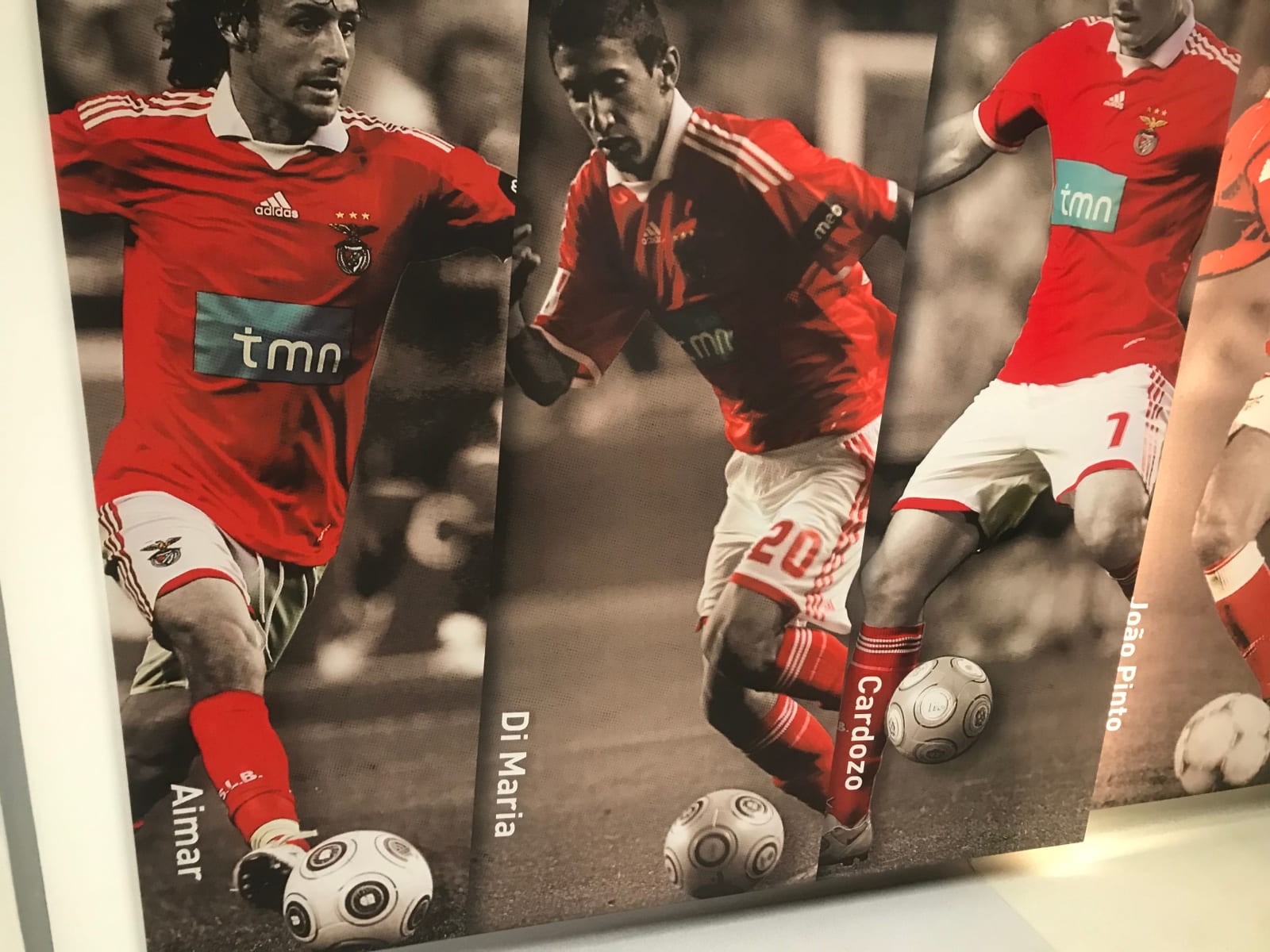 Benfica Stadium Tour