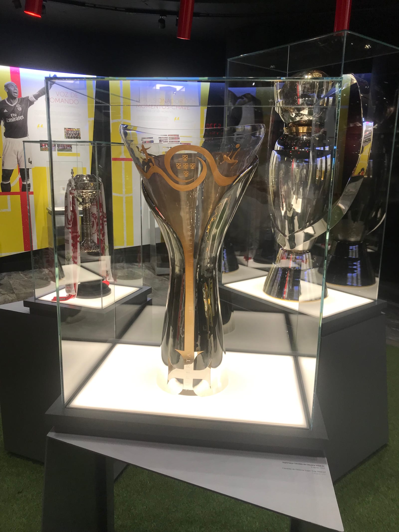 Benfica Stadium Tour