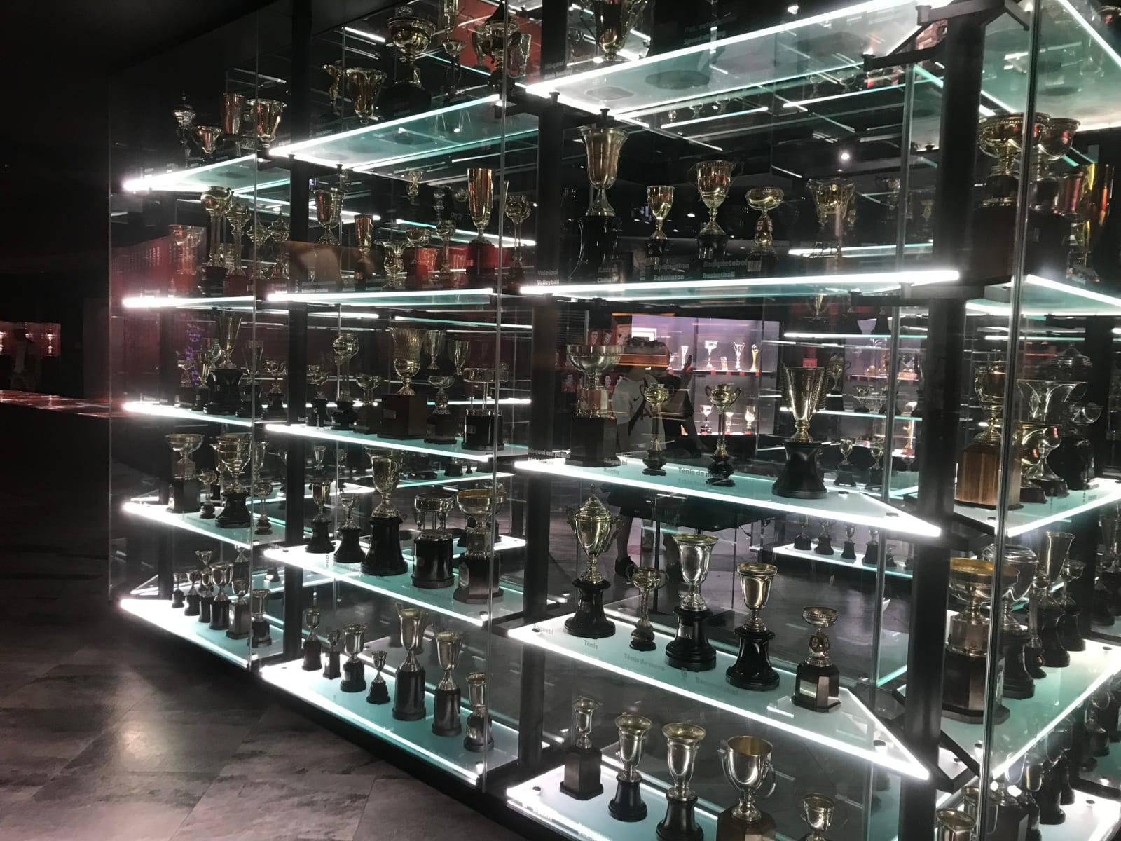 Benfica Stadium Tour