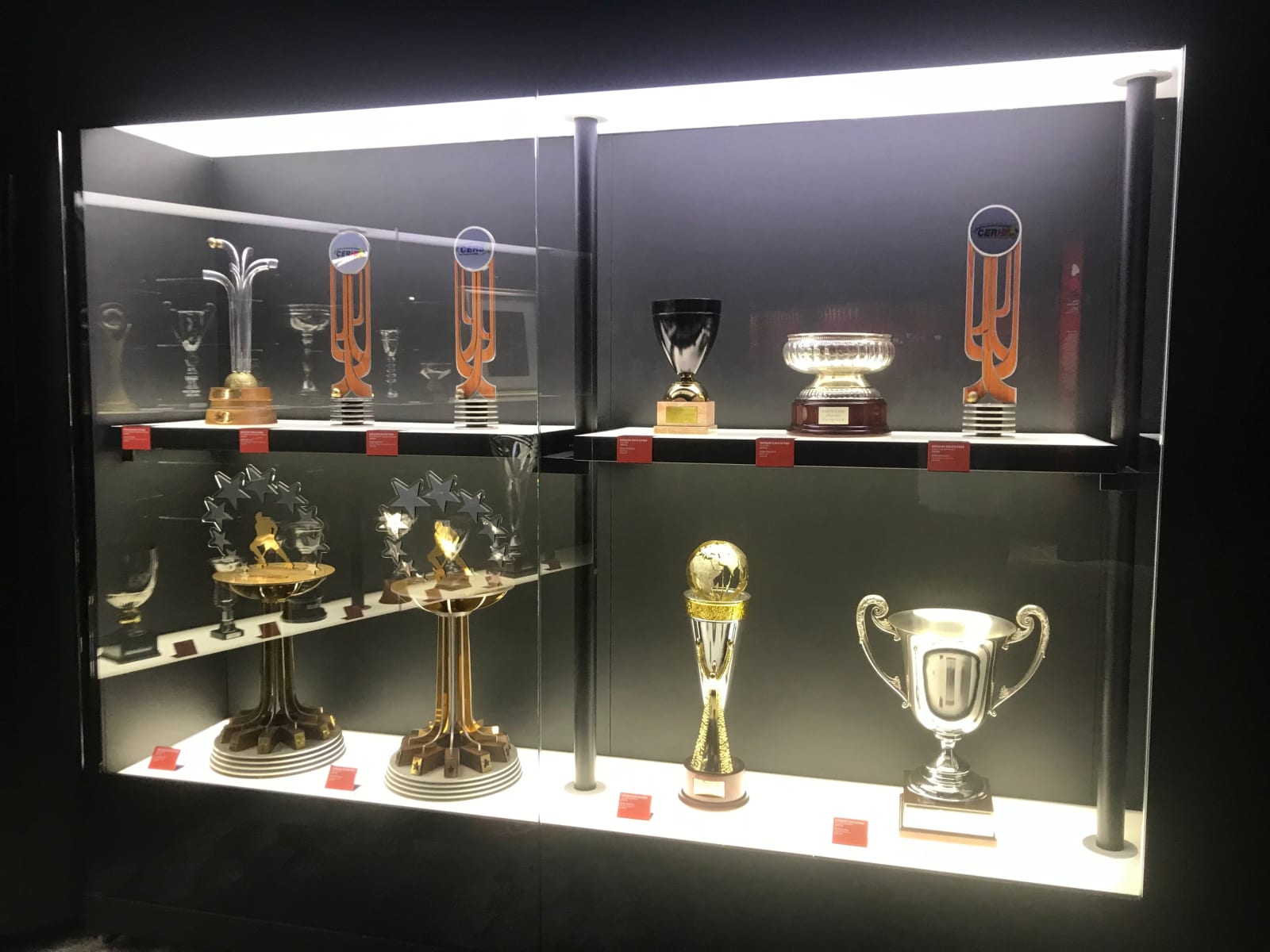 Benfica Stadium Tour
