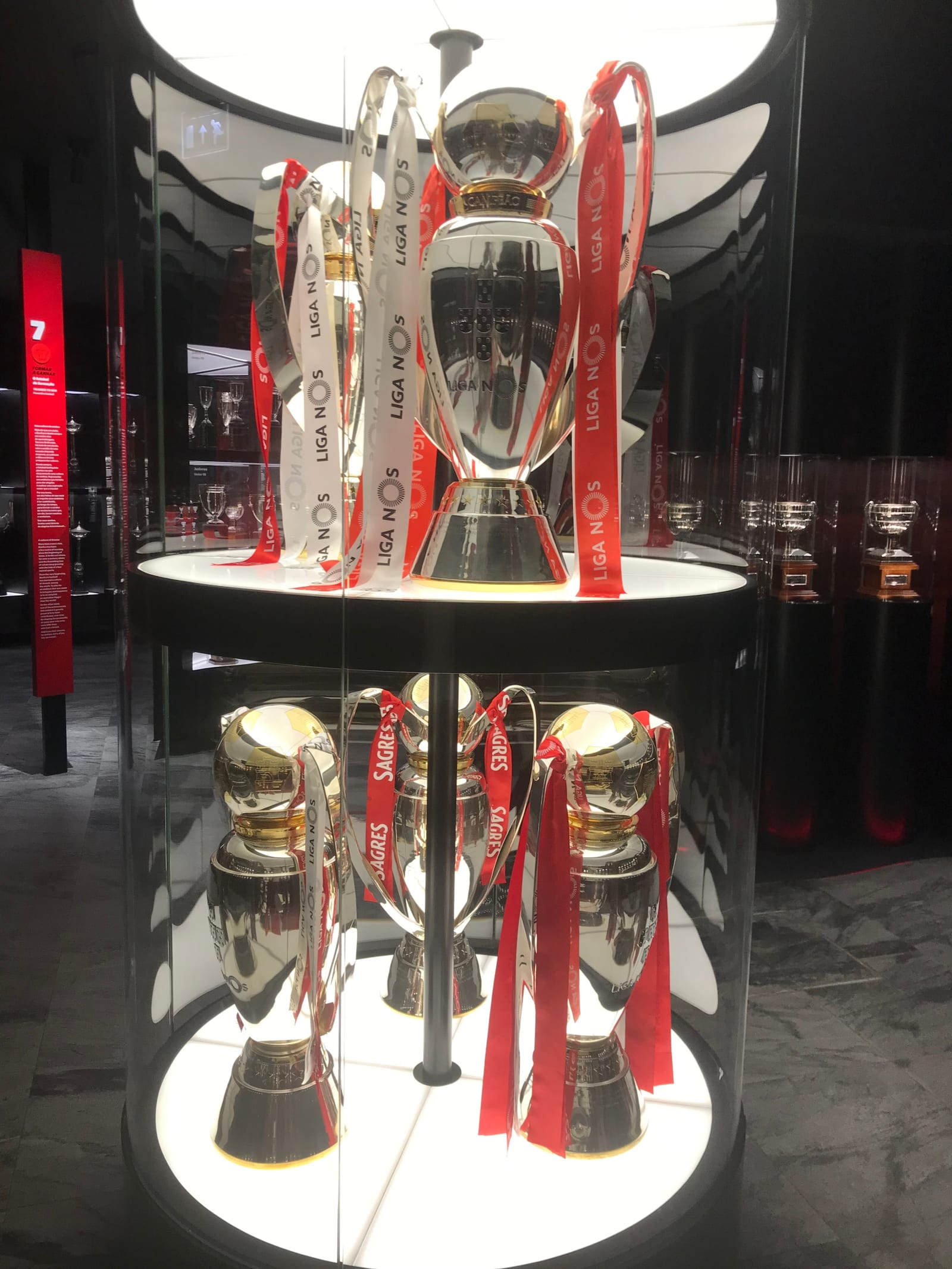 Benfica Stadium Tour
