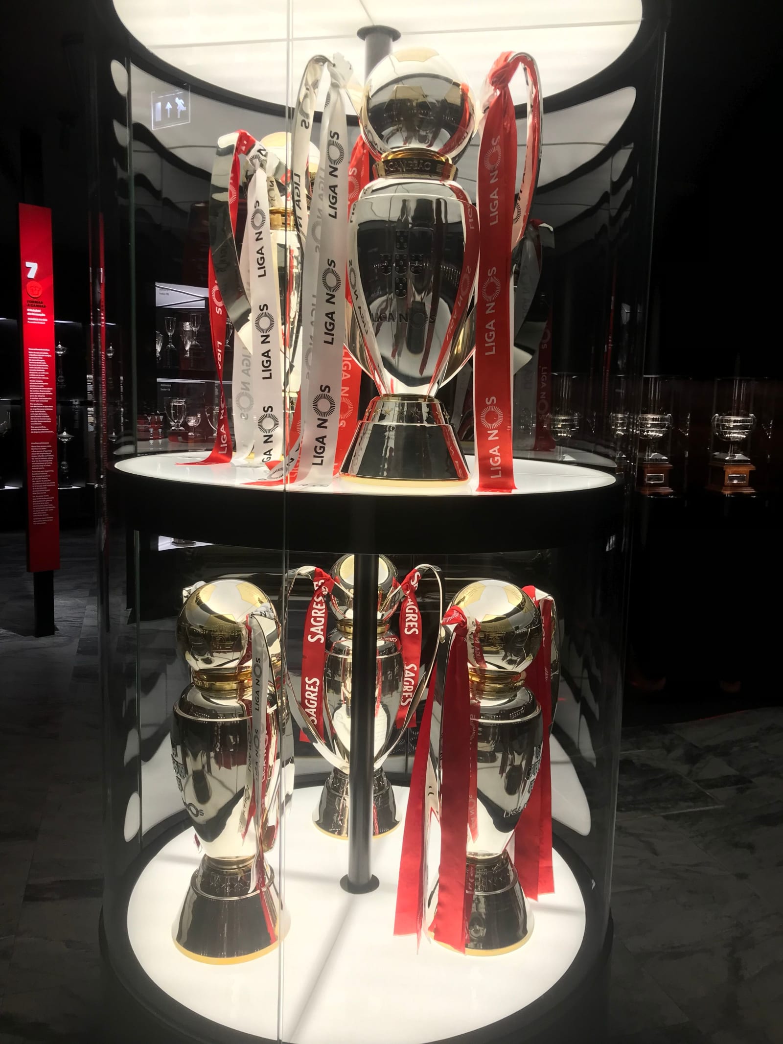 Benfica Stadium Tour