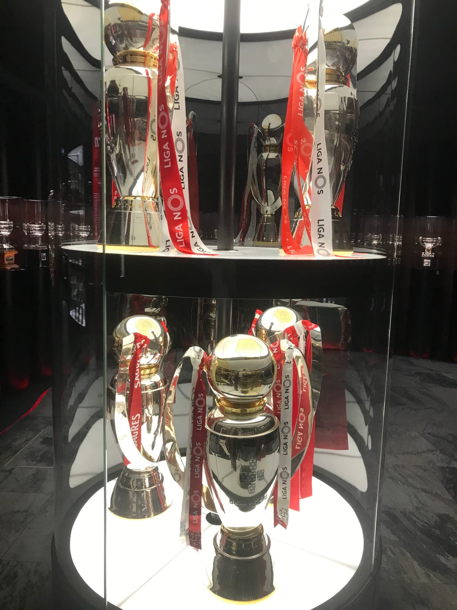 Benfica Stadium Tour