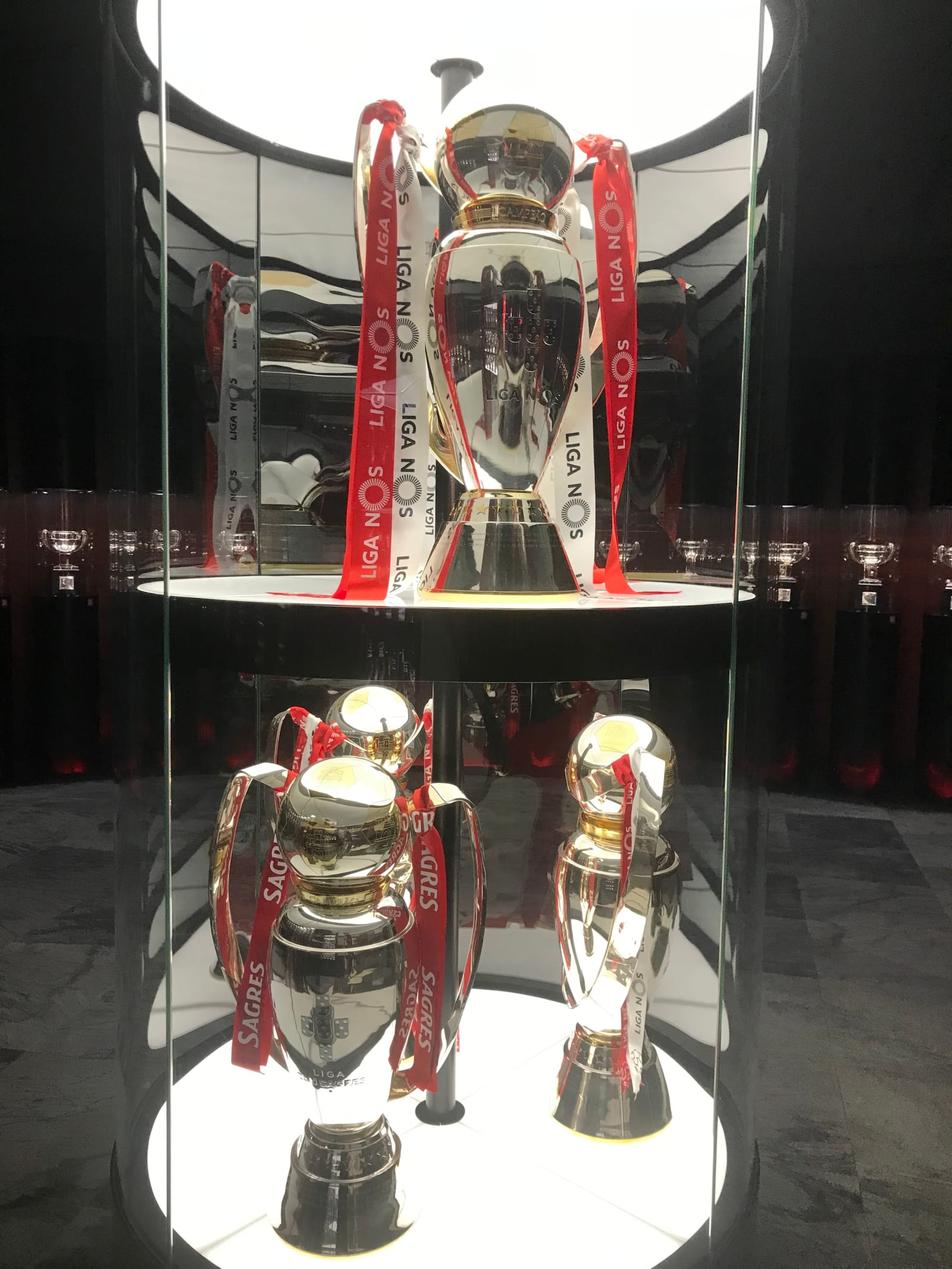 Benfica Stadium Tour