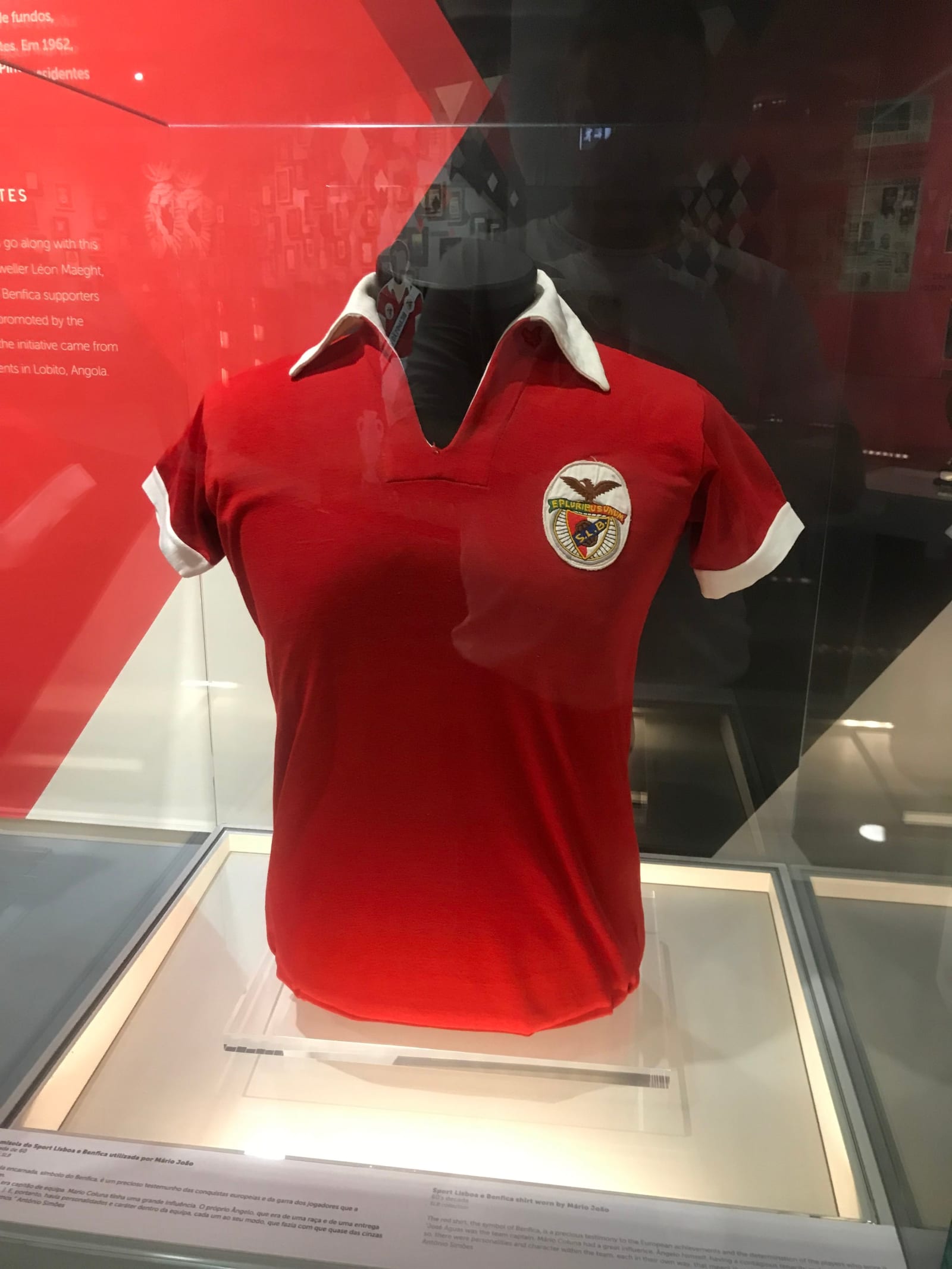 Benfica Stadium Tour