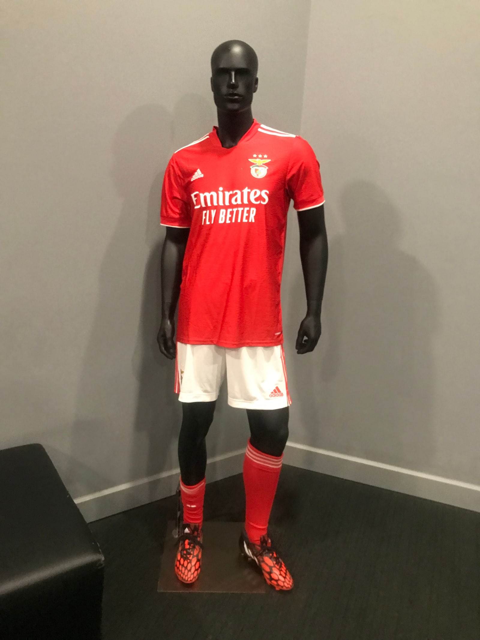 Benfica Stadium Tour