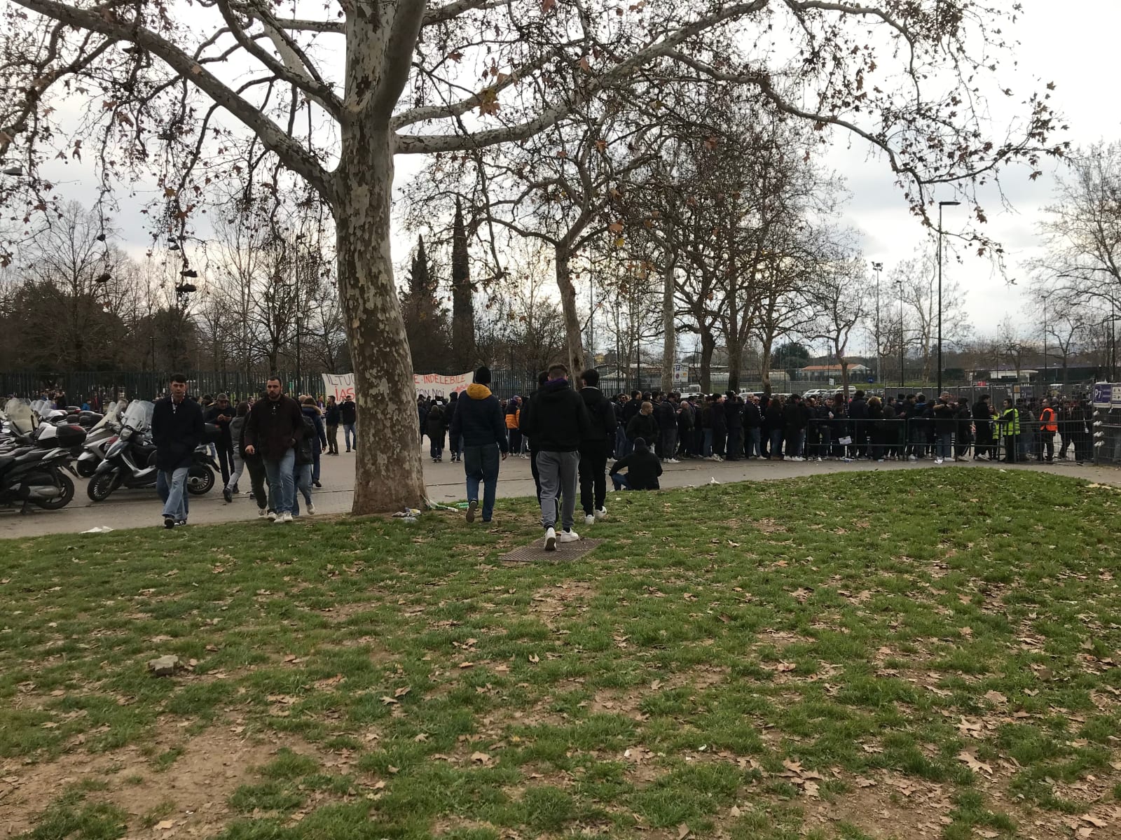 Fiorentina Matchday