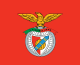 Benfica crest