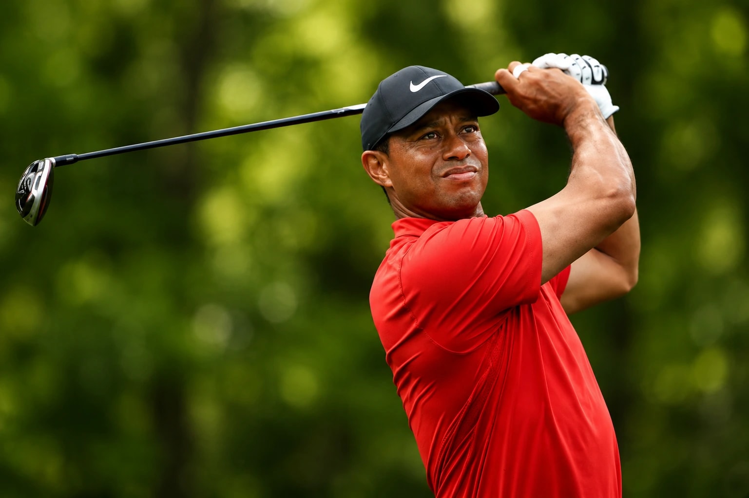 Tiger Woods