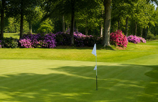 Noord-Nederlandse Golf & Country Club