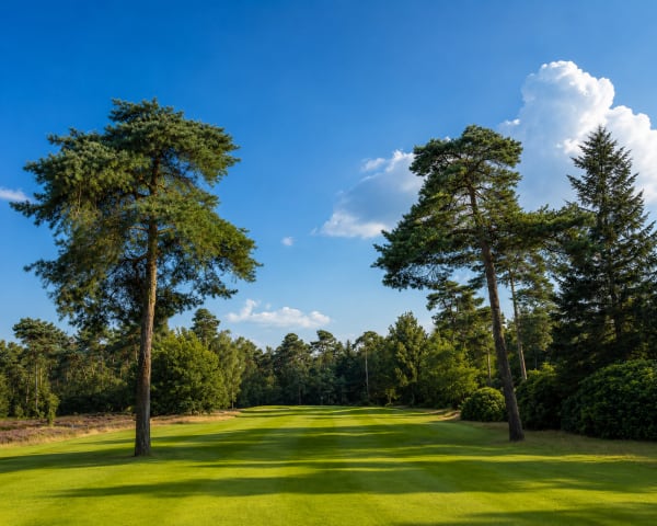 Hooge Graven Golfclub Ommen