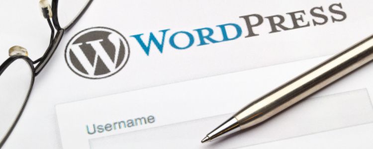 Wordpress para no programadores