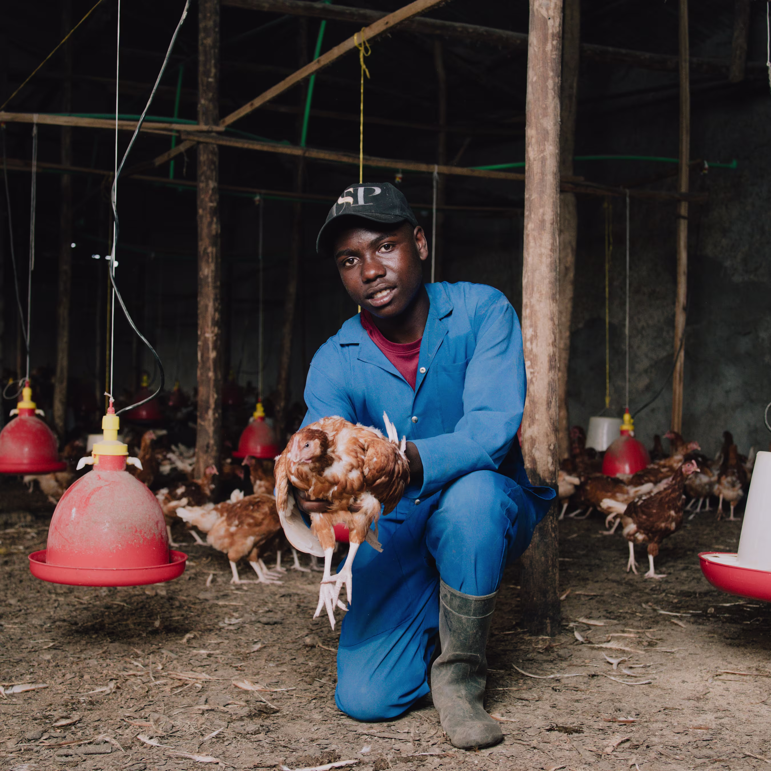 Poultry production at the Green Enterprise Lab