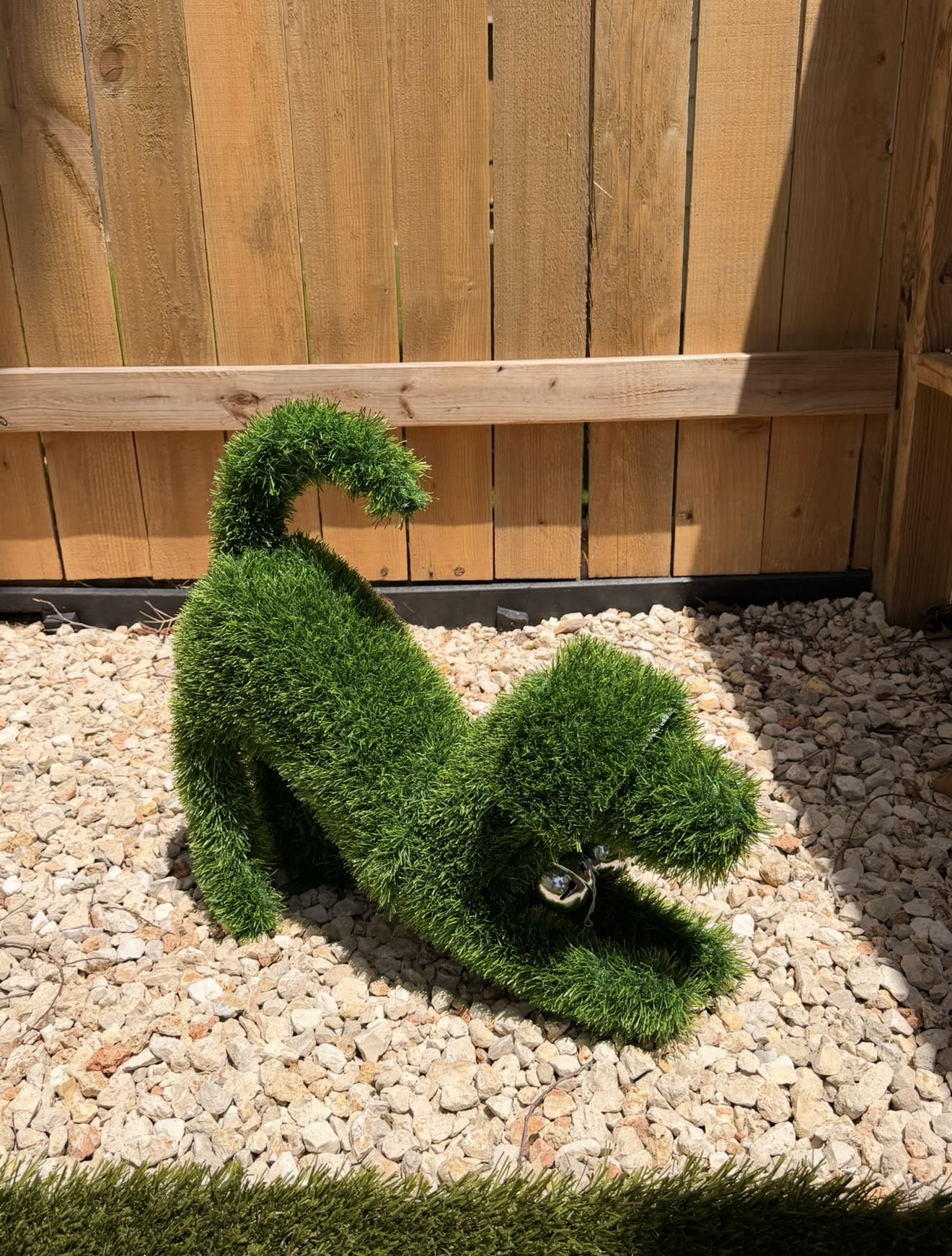 Outdoors & Greenery — gallery image 5