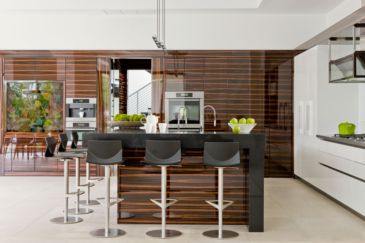 horizontal Noble Veneer Macassar Amaro High Gloss