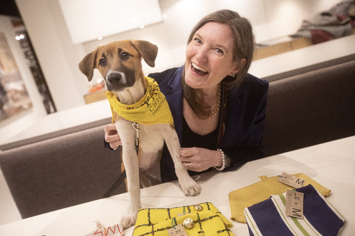 Mindy Viamontes, chicago architect, with scion a PAWS chicago pup up for adoption that is wearing a bandana designed by mindy