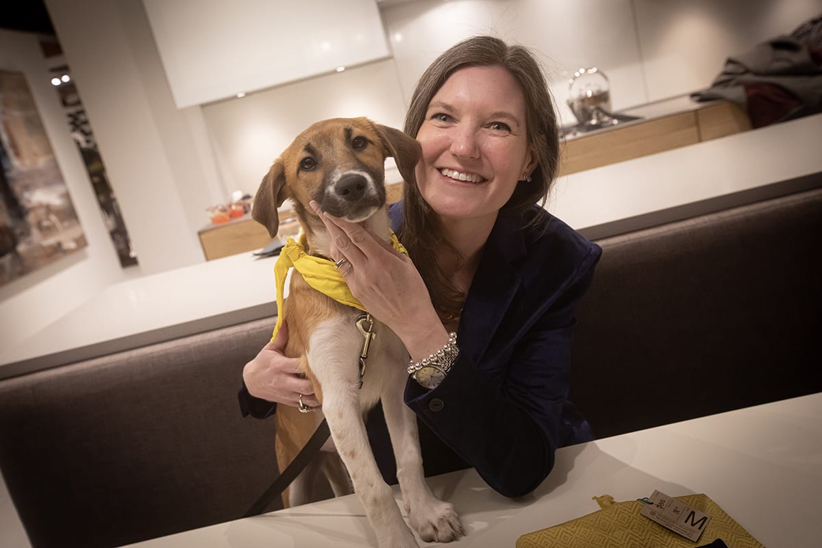 scion a PAWS chicago pup up for adoption that is wearing a bandana designed by Mindy Viamontes, chicago architect, with