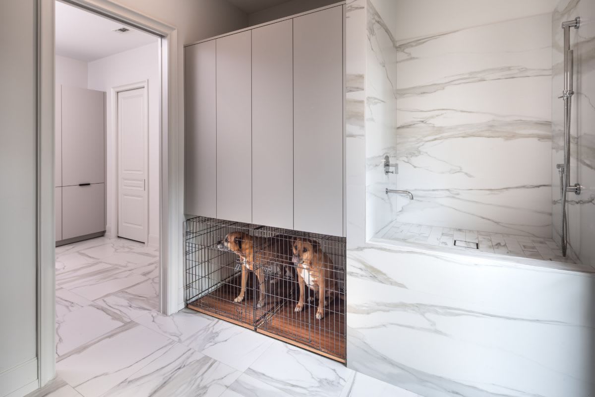 luxury dog kennel and dog wash room luxury dog kennel and dog wash room