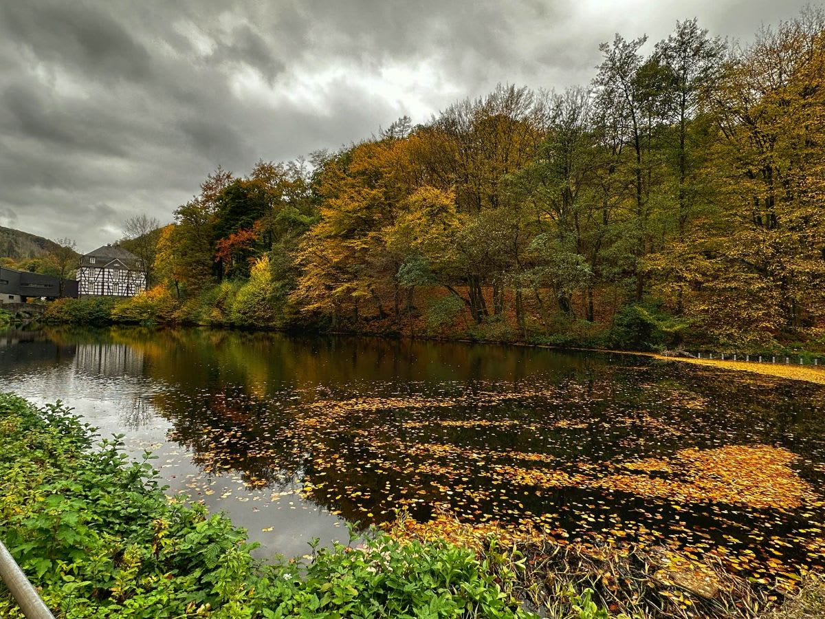 bucolic riverside scene in hagen germany with museumsterrassen in the distance