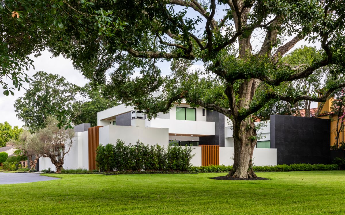 side yard of a new construction in tanglewood